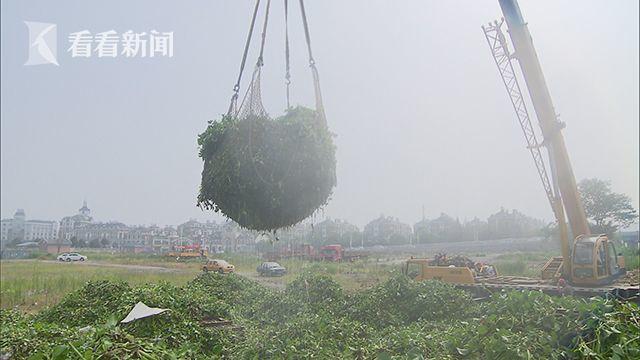 什么网站可以看国外黄色视频直播