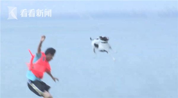 搜索胖女人黄色淫秽录像