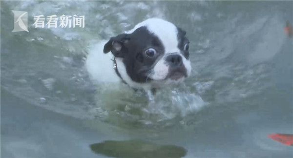 丰满浓密大荫道BBWBBB