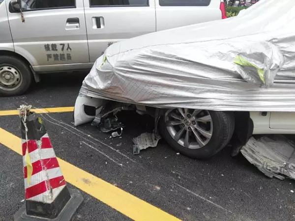 下载黄色网站全免费