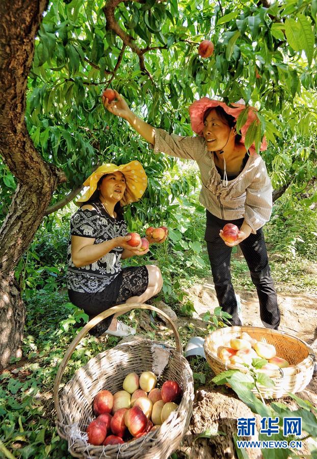 字母圈怎么给狗狗骂湿