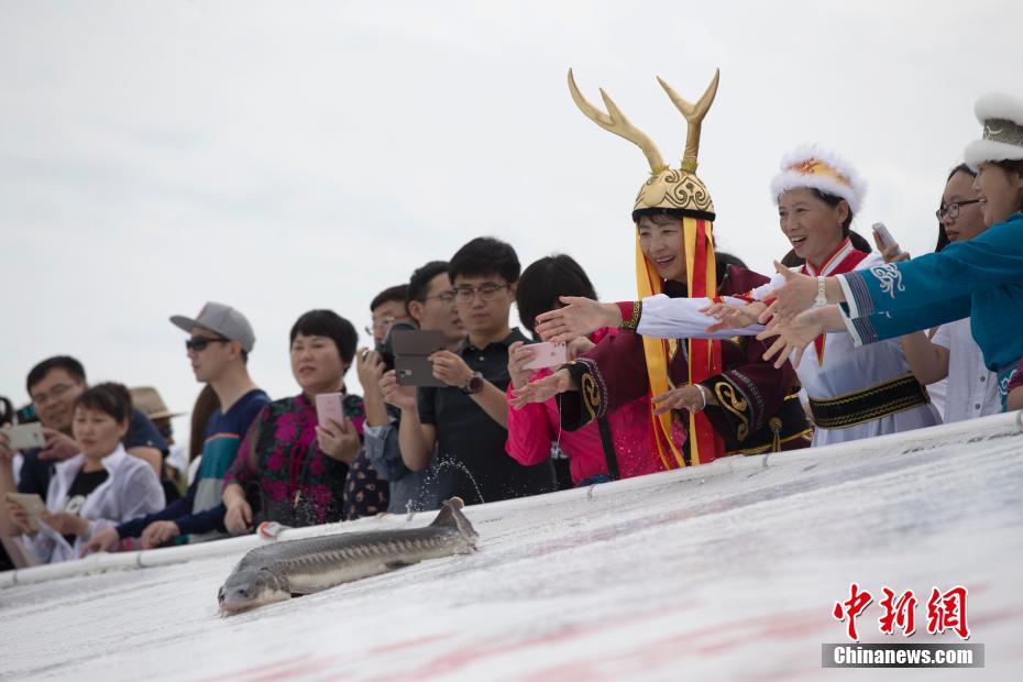jjzz中国