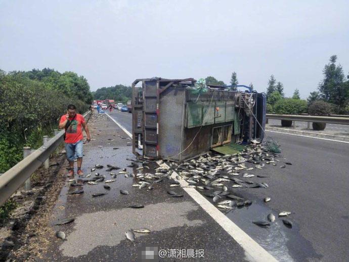 暴力性爱视频