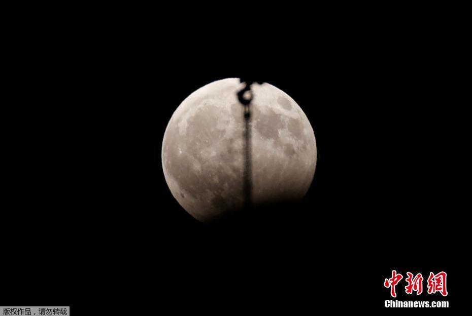 中国女明星淫乱