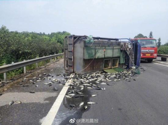 裸聊 直播 网站