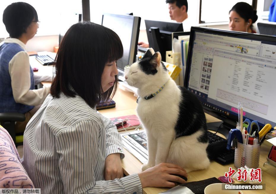 他趴在我两腿中间吸我
