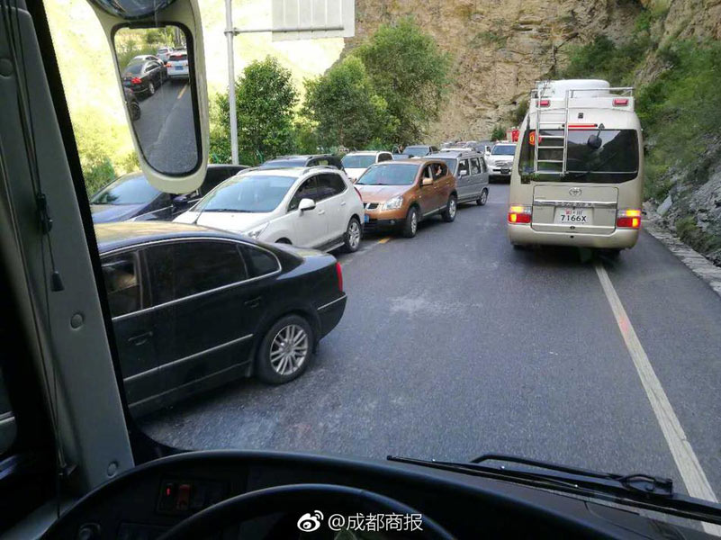 成 人 网站