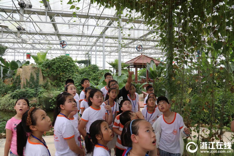 一小孩拿棒棒糖ss游戏,破解版动漫