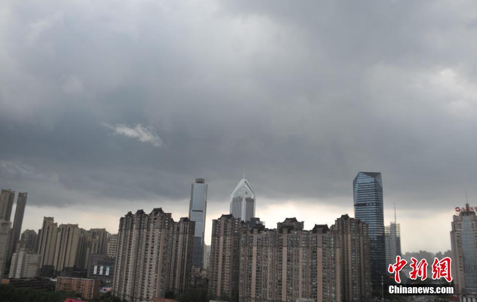 李丽珍三级片网站