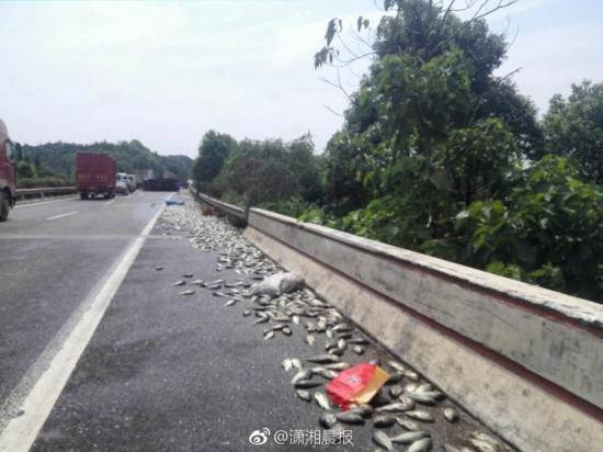 大毛片