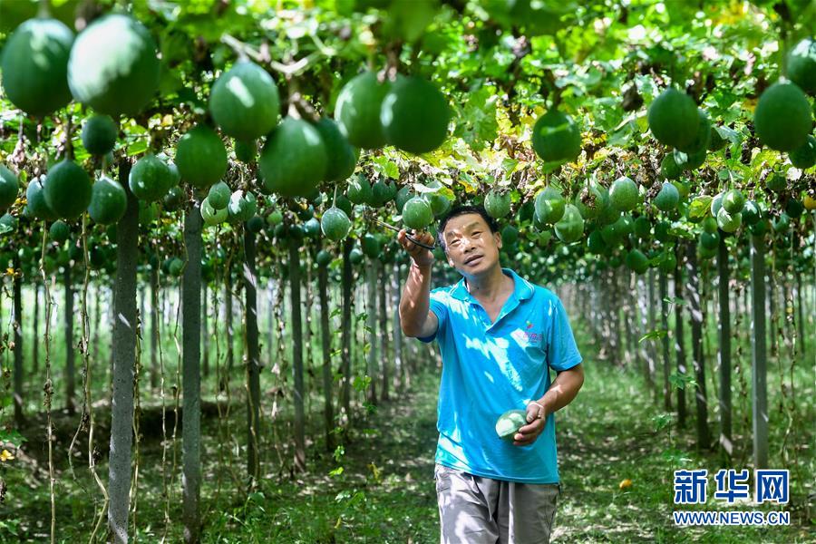 美国A片巜禁忌6