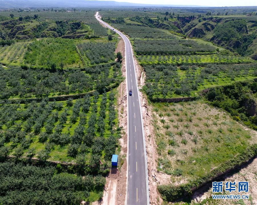 汤姆叔叔桃红色温馨提示语