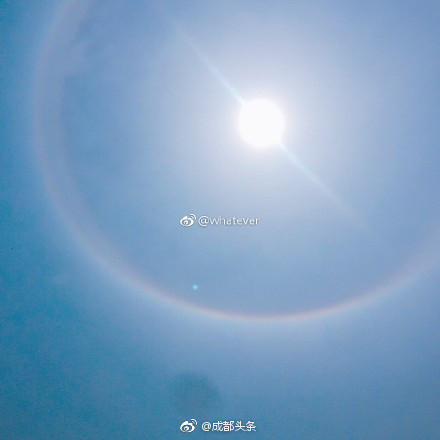 三极大片和黄片
