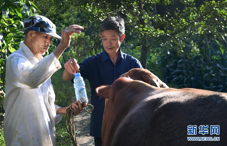 伊人久操