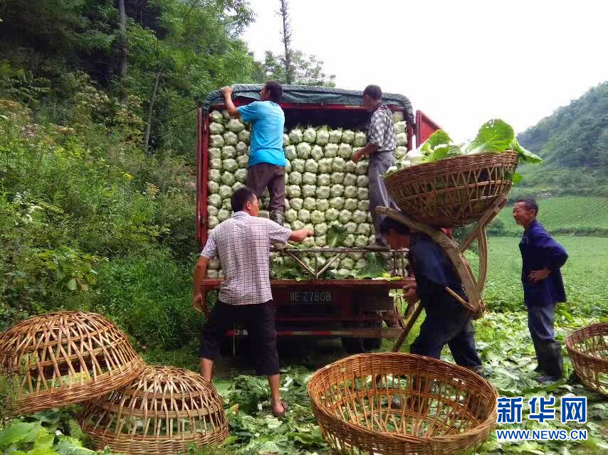 中国老太性Hd大全82