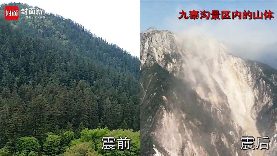 裸体视频免费看