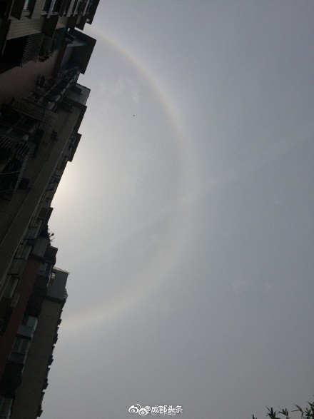老师脱 让学生摸 动态
