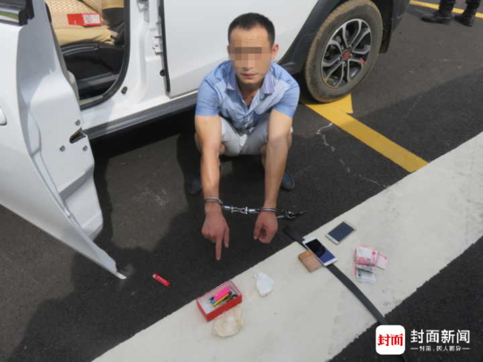 蝌蚪窝在线