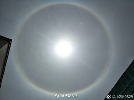 精品麻豆