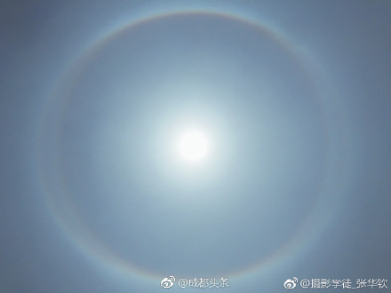 疯狂的欧美乱大交