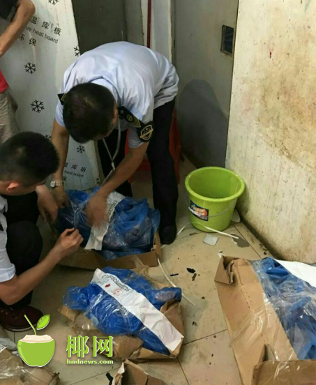 黄片在线免费观看