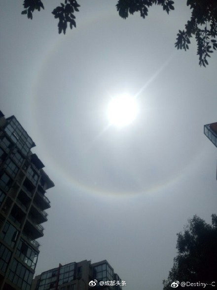 欧美成年人免费黄色禄像视频在线看看