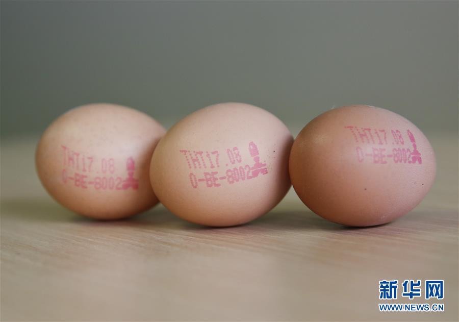 甘雨裸体 开腿涩涩
