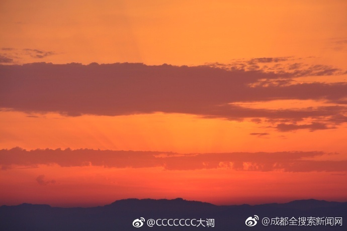 免费看真人直播