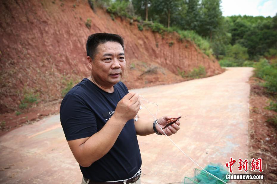 甘雨被 到爽 高潮痉挛动漫