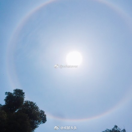 欧美大胆性生活