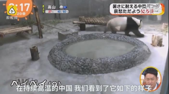 私奴sM虐暴虐调教惨叫