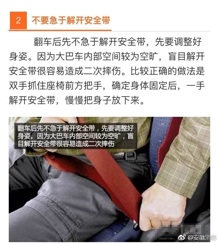 老 熟女 視頻