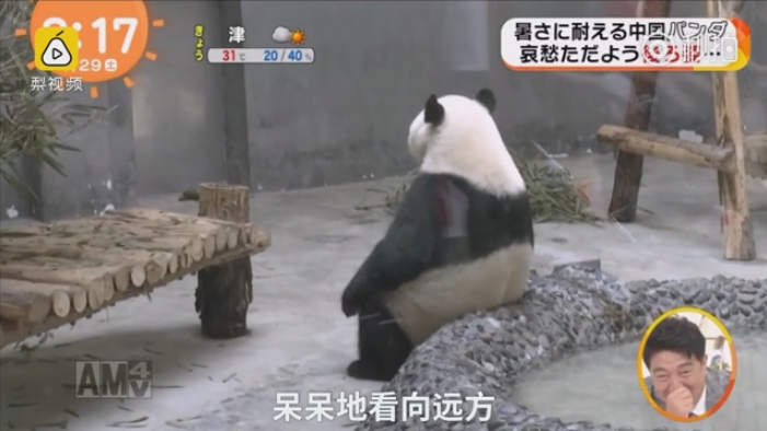露點走光