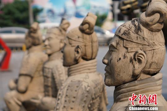 中国丰满少妇多毛大隂户