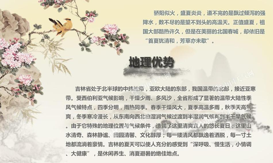 吃 网cgw01
