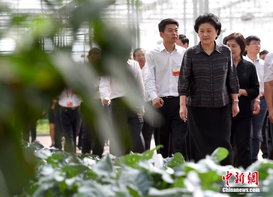 扒开老师 狂揉