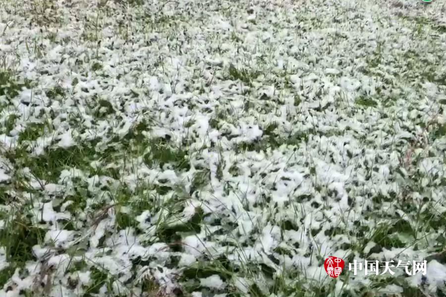 9l视频白拍9色9l视频