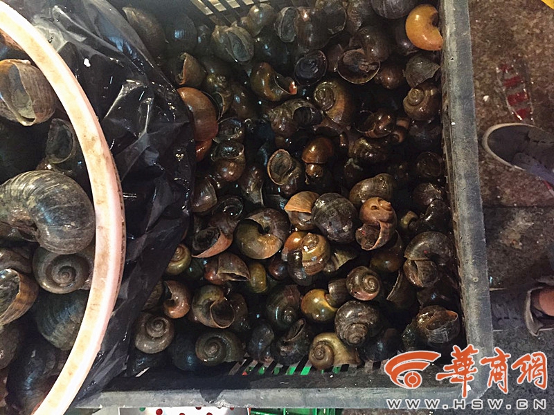 综合一区二区