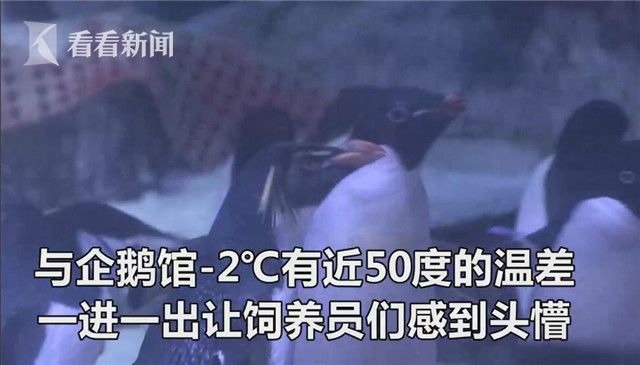 Videosgr日本人妻偷情