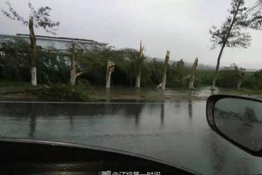 乌克兰女人一级片小电影