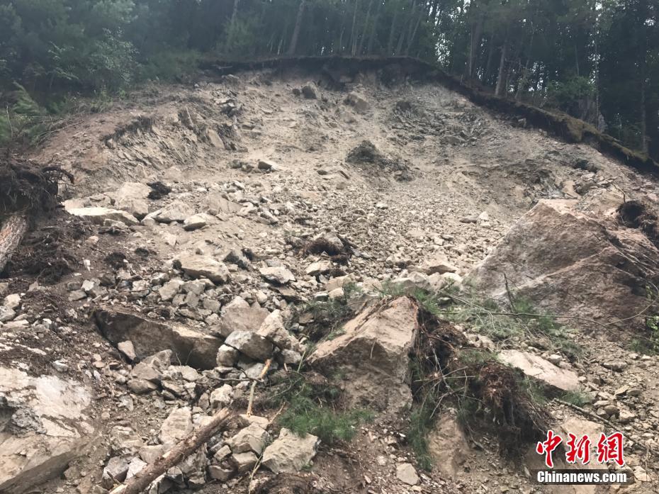 免费黄网站