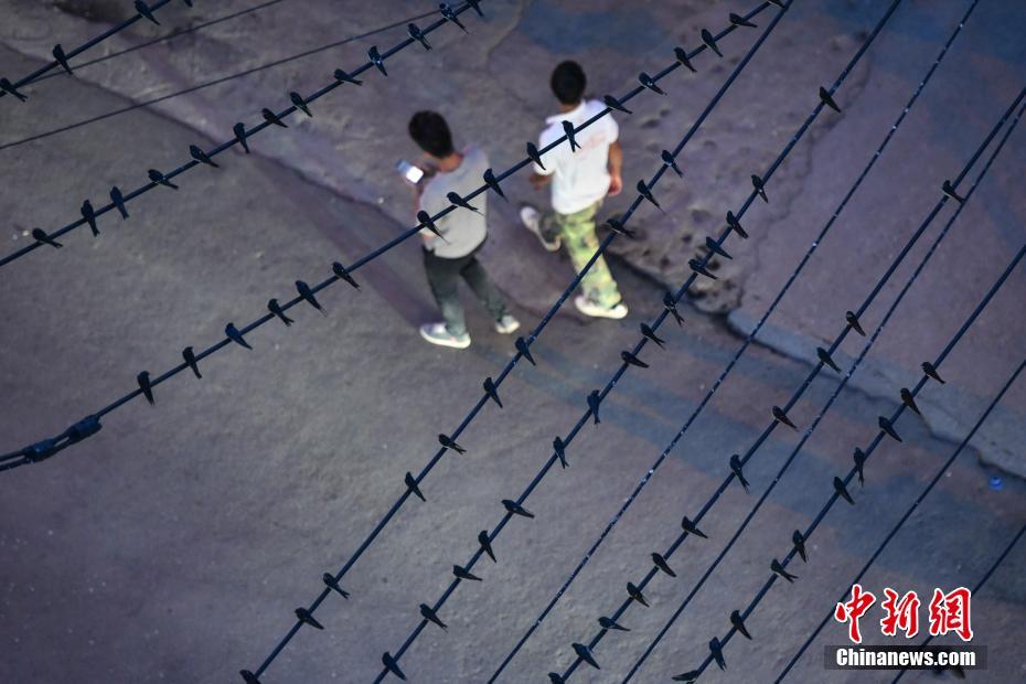 男人肏女人的屄户外直播国产