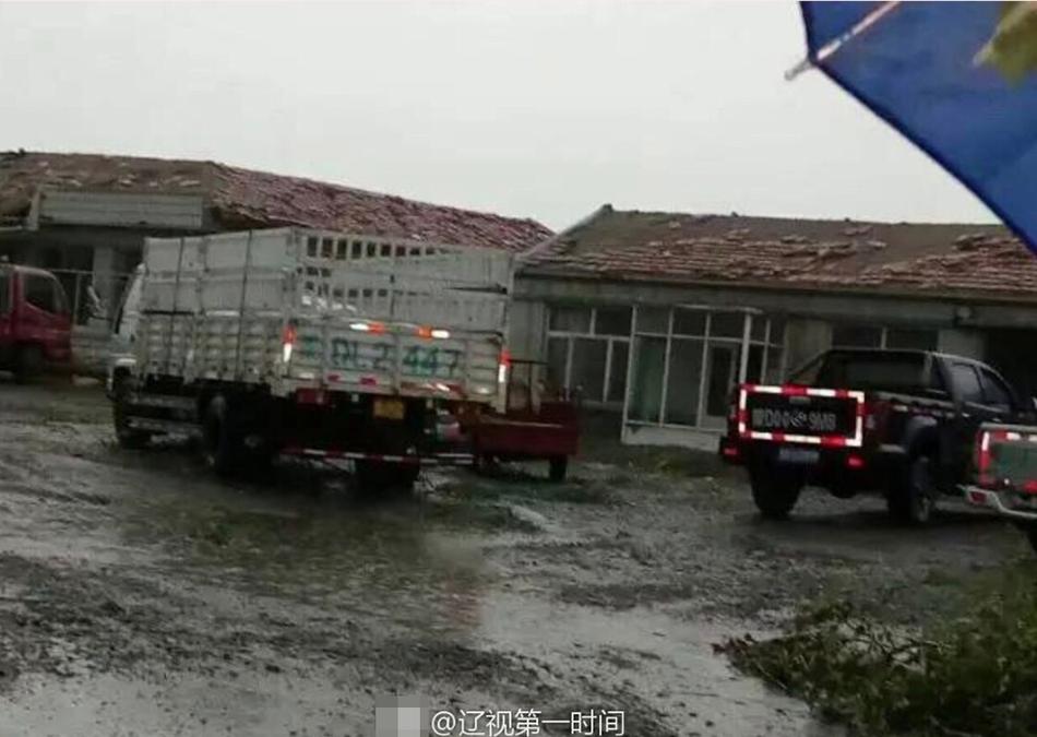 古古小姐