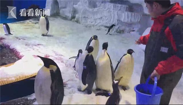 两男吸乳一女奶动态图