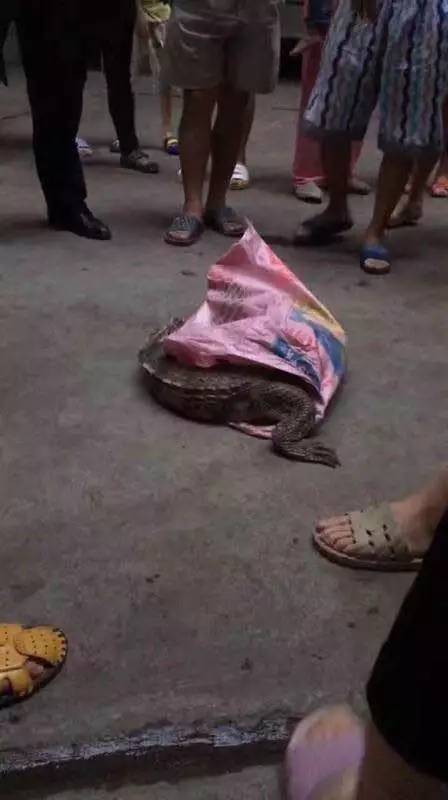 免费人成影片