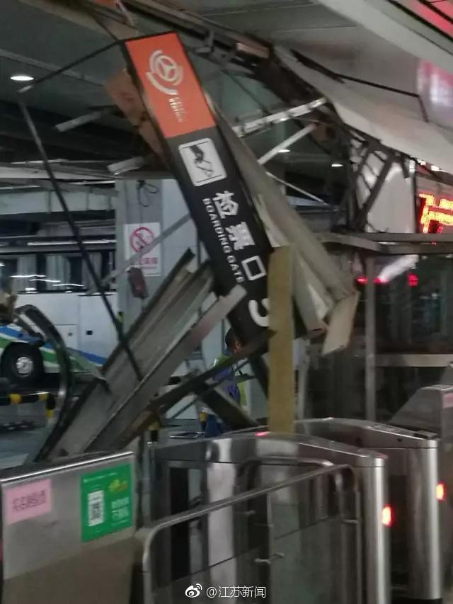 人与禽一级A片