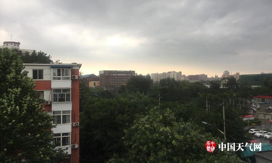 美女黄色视频网