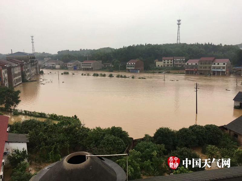 一级做a爰片久久毛片无码免费