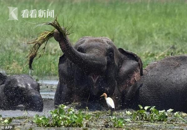 震動棒高潮