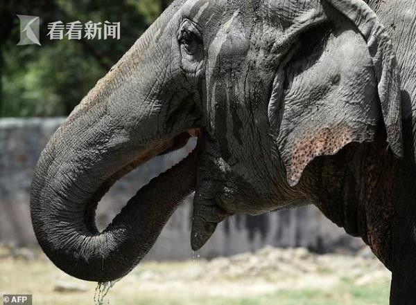 早坂愛